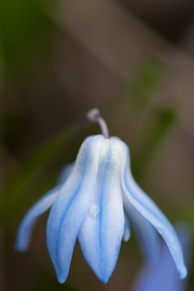 IMG_3634