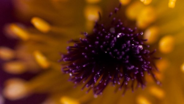 IMG_3778