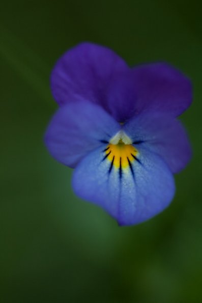 IMG_4289