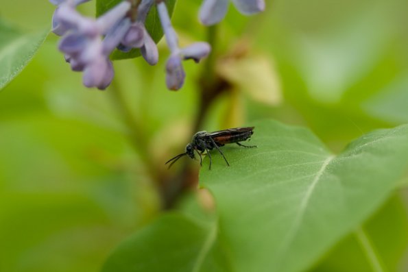 IMG_4501