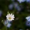 IMG_5786