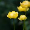 IMG_5978