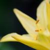 IMG_6573