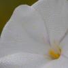 IMG_6811