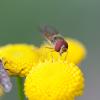 IMG_8722
