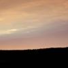 IMG_0437