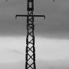 IMG_1079