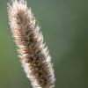 IMG_8297