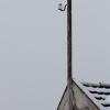 IMG2_3857